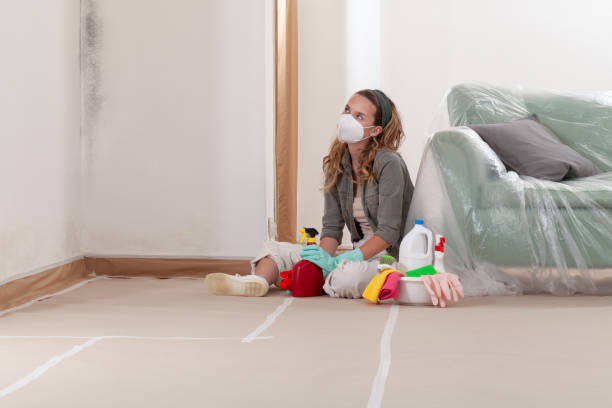 Reliable Mold Remediation contractor in Hawthorne, FL by Cheap Mold Removal